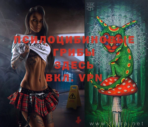 MDMA Premium VHQ Зеленокумск